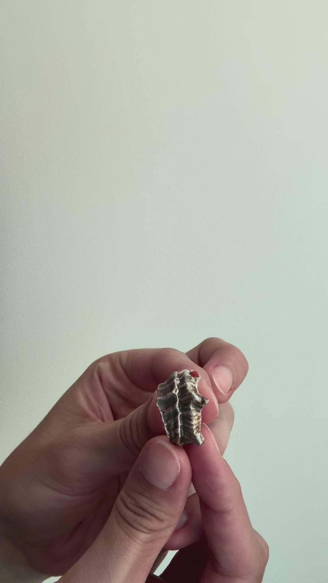 Fire Siren Ring - Sterling Silver & Coral