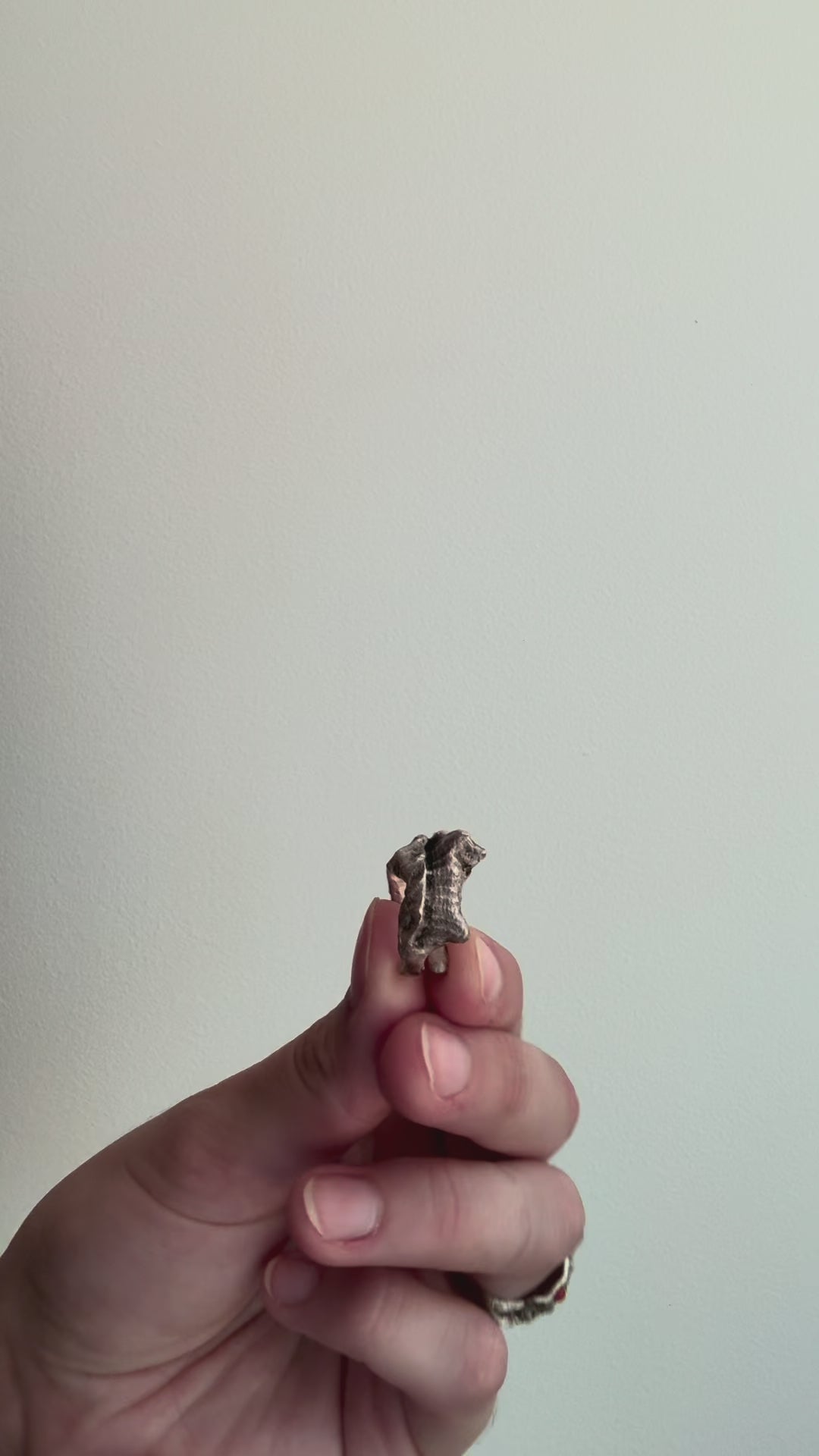 Siren Midi Ring - Sterling Silver & Aventurine